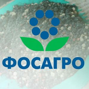"Газпром" и "ФосАгро" на полях ПМЭФ подписали соглашение к договорам поставки серы